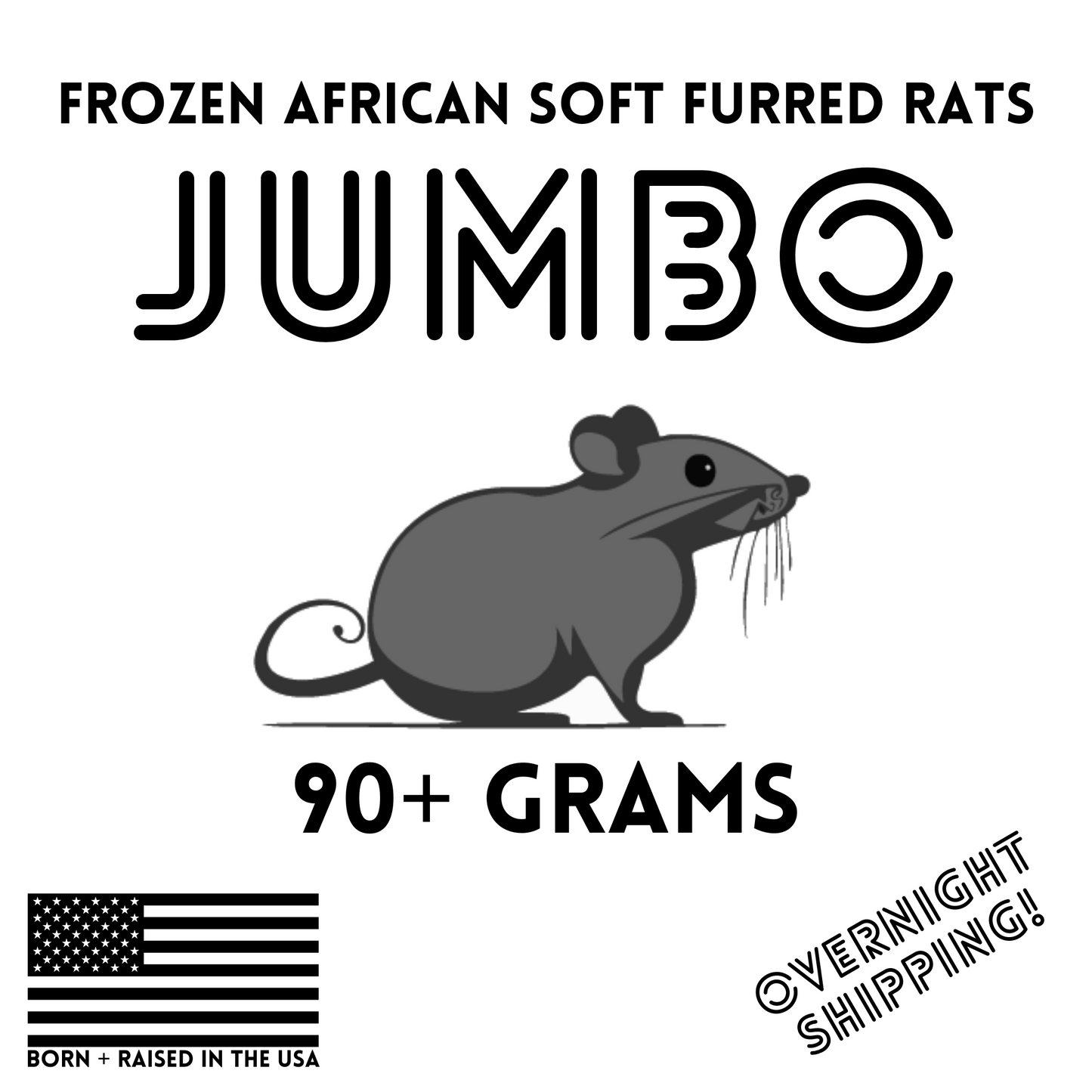 Frozen Jumbo African Soft Furred Rats | 10 Count