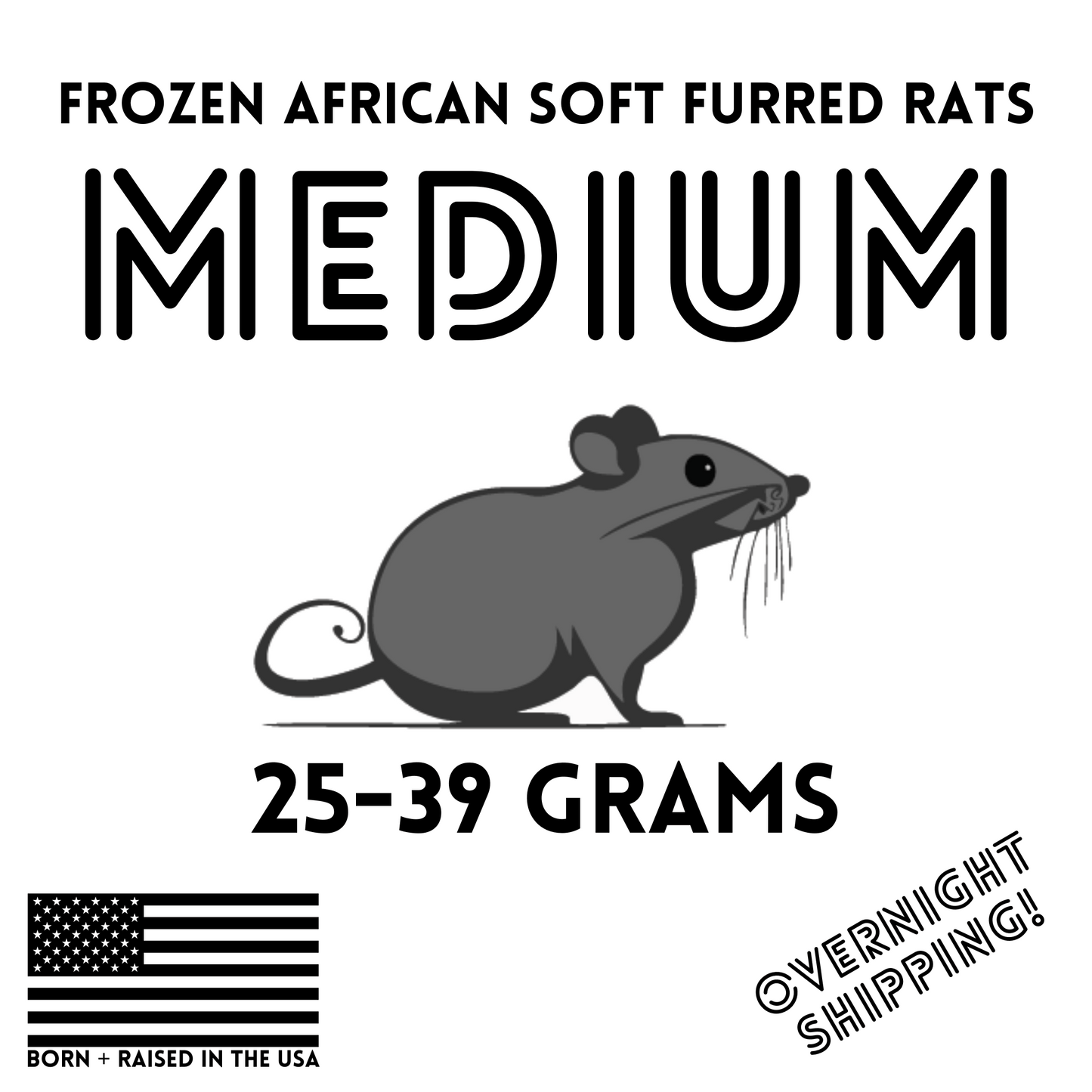 Frozen Medium African Soft Furred Rats | 10 Count