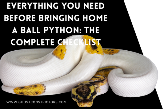 Everything You Need Before Bringing Home a Ball Python: The Complete Checklist