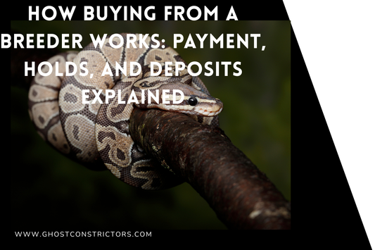 How Buying From a Breeder Works: Payment, Holds, and Deposits Explained