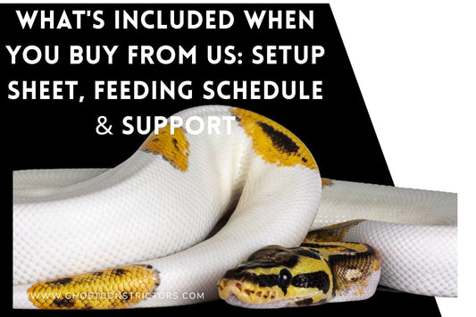 What's Included When You Buy From Us: Setup Sheet, Feeding Schedule & Support