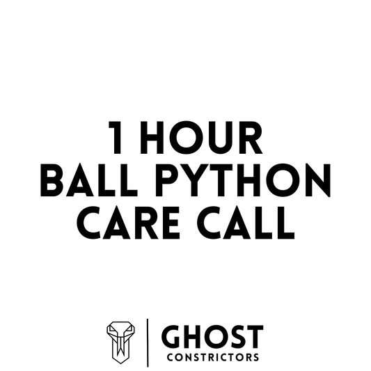1-Hour Ball Python Care Call