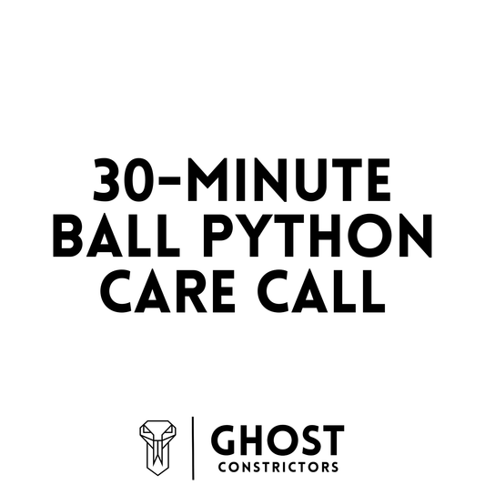 30-Minute Ball Python Care Call