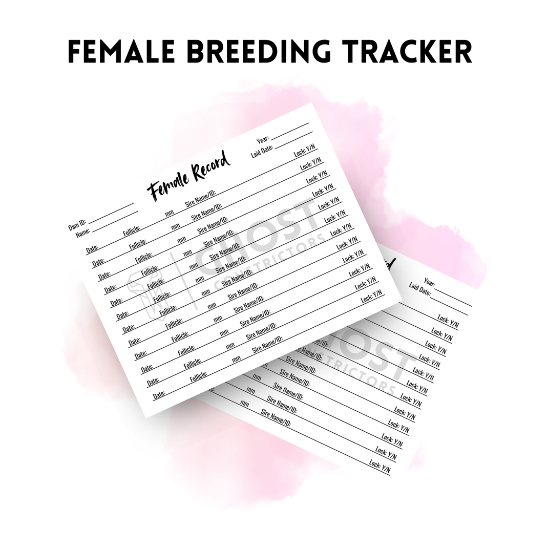 Free Female Ball Python Breeding Tracker – Ghost Constrictors