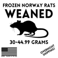Frozen Weaned (Extra-Small) Feeder Rats  — 25 Pack — captive-bred by Ghost Constrictors