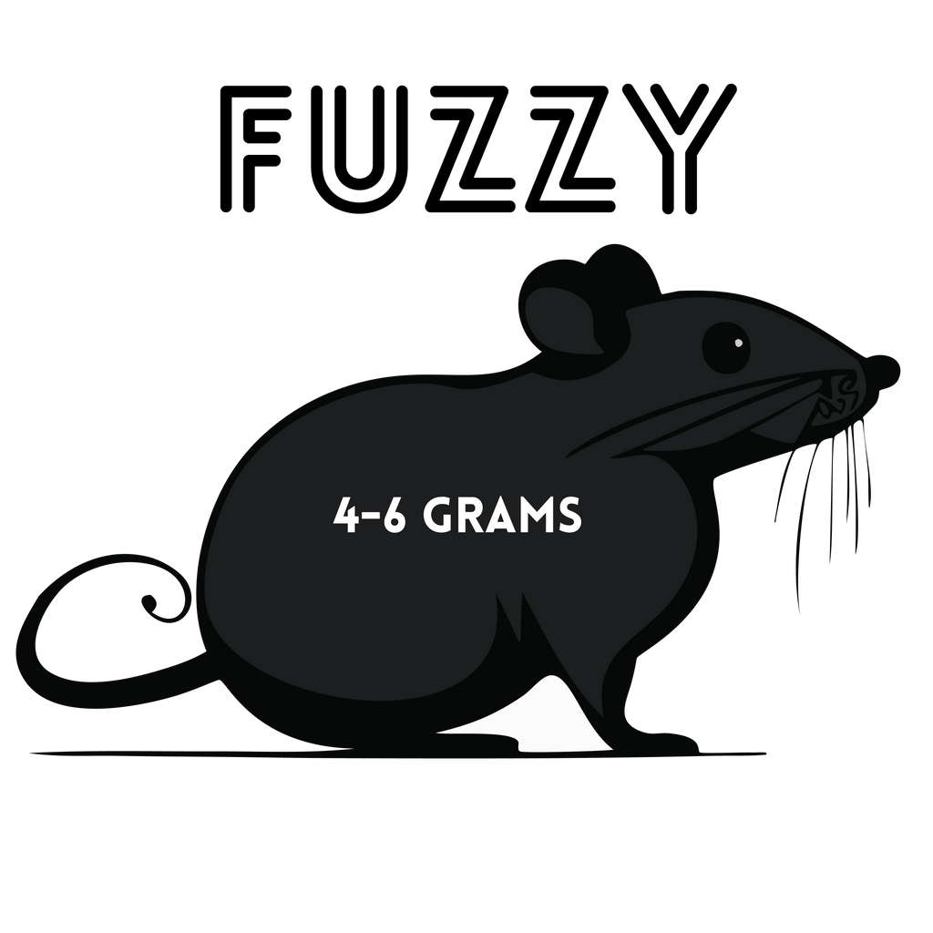 Frozen Fuzzy African Soft Furred Rats | 25 Count — captive-bred by Ghost Constrictors