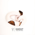 Black Pastel Piebald — Female, 2024 hatch, captive-bred by Ghost Constrictors