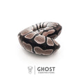 VPI Axanthic Het Piebald — Male, 2025 hatch, captive-bred by Ghost Constrictors