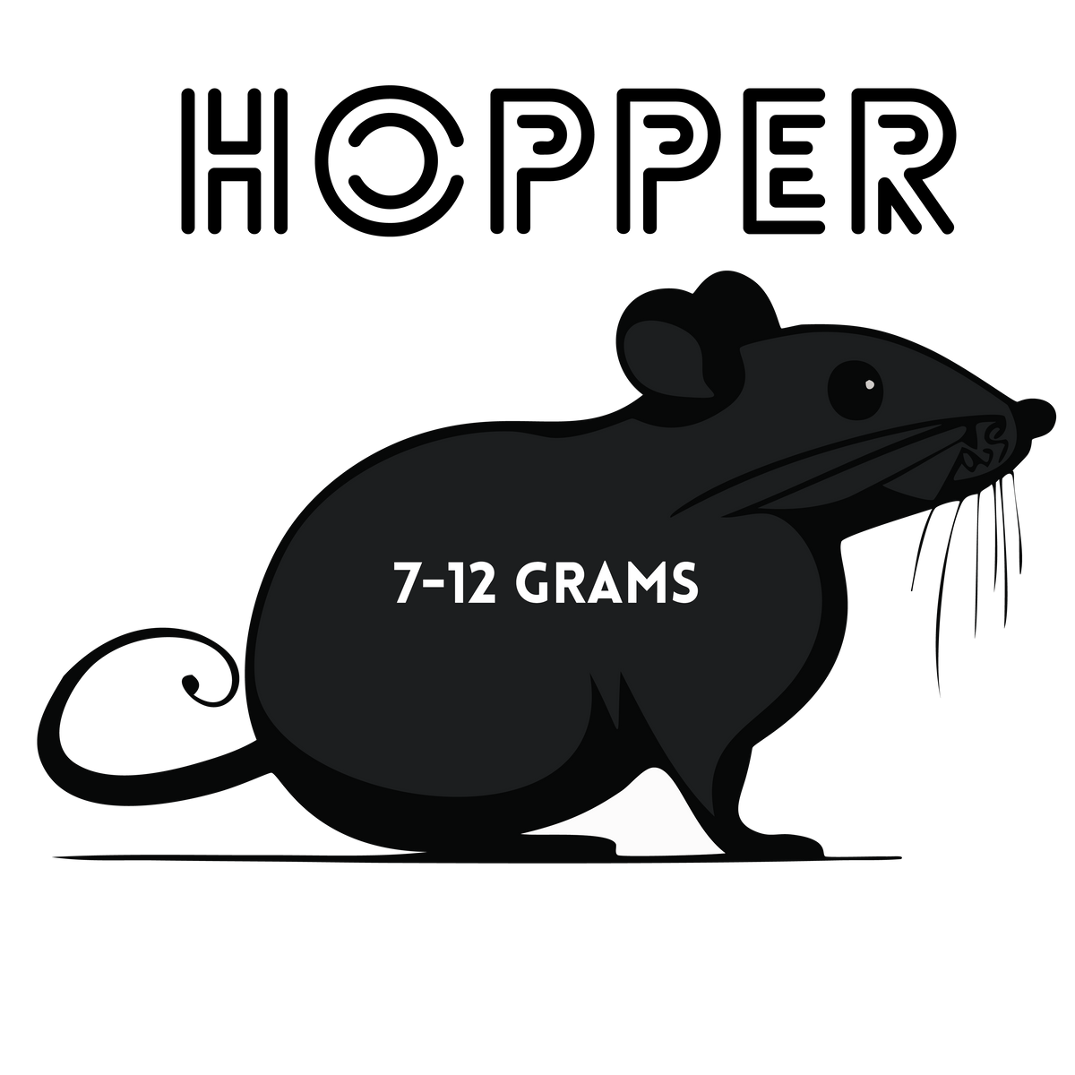 Frozen Hopper African Soft Furred Rats | 25 Count — captive-bred by Ghost Constrictors