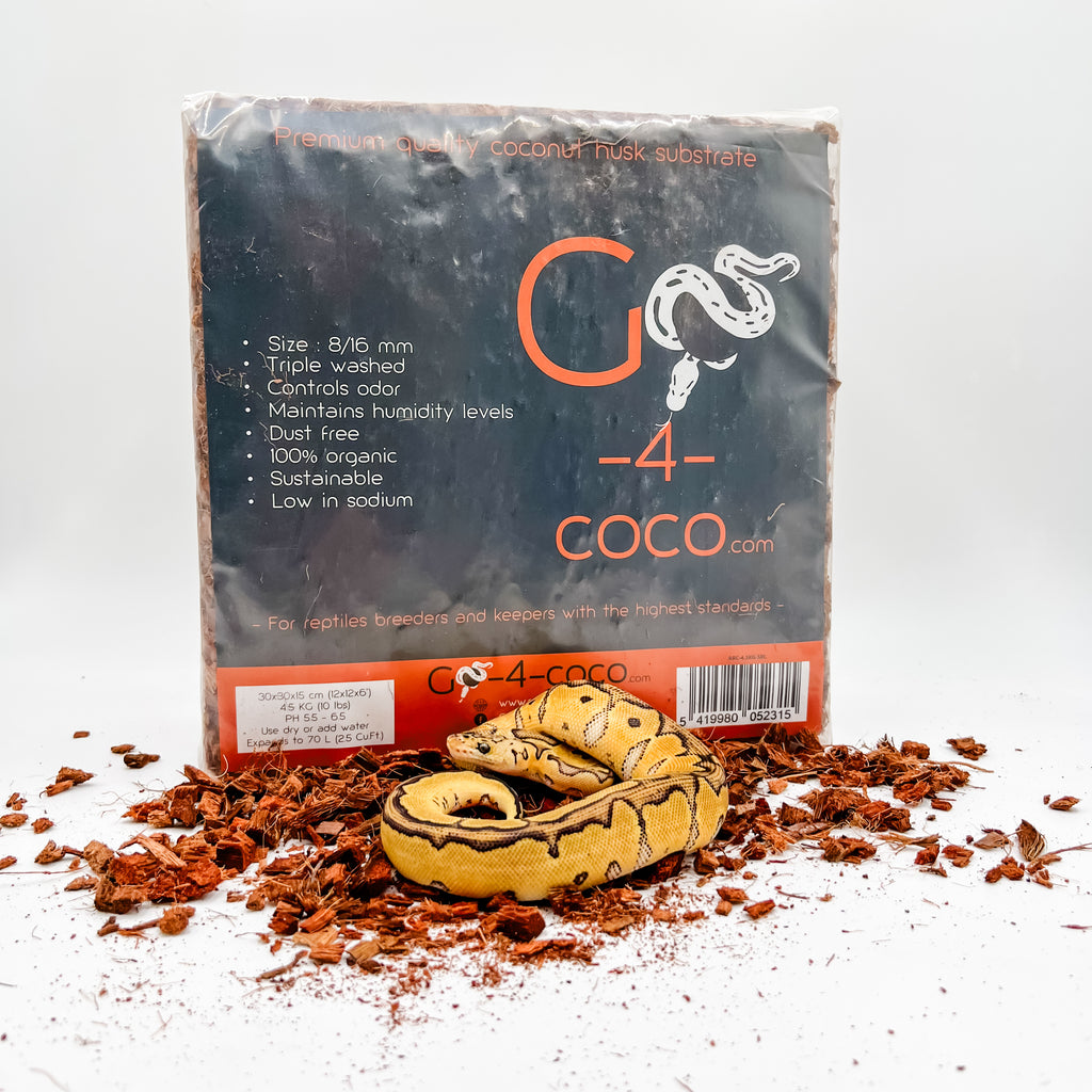 Go-4-Coco | 1 Block — Small (.31"-.63"), captive-bred by Ghost Constrictors