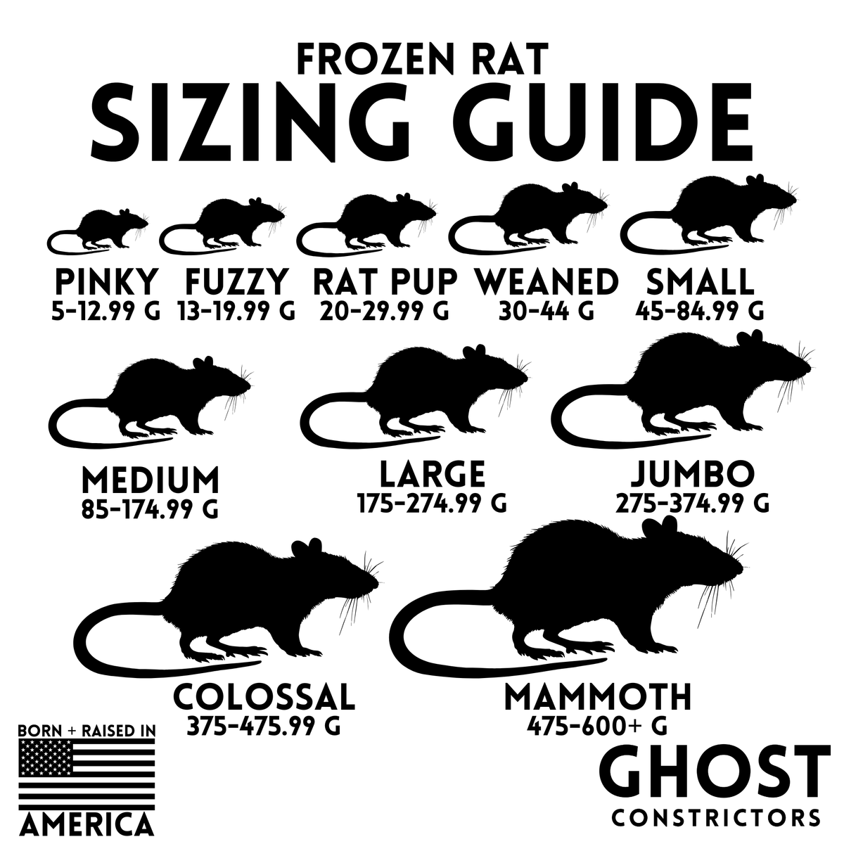 Frozen Pinky Feeder Rats — 25 pack — captive-bred by Ghost Constrictors