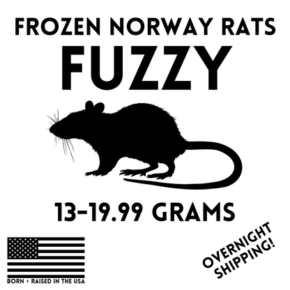Frozen Fuzzy Feeder Rats  — 25 Pack
