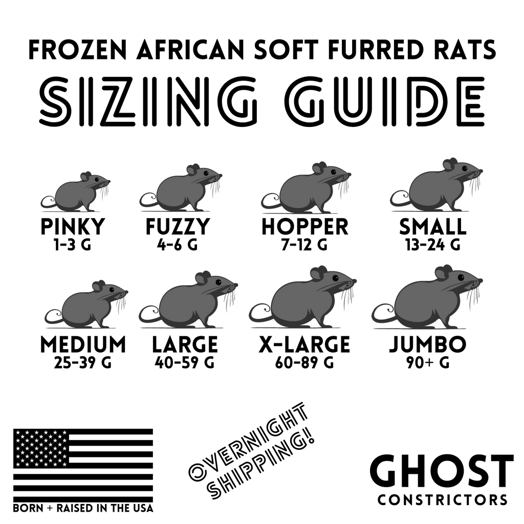 Frozen Fuzzy African Soft Furred Rats | 25 Count — captive-bred by Ghost Constrictors