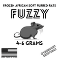 Frozen Fuzzy African Soft Furred Rats | 25 Count — captive-bred by Ghost Constrictors