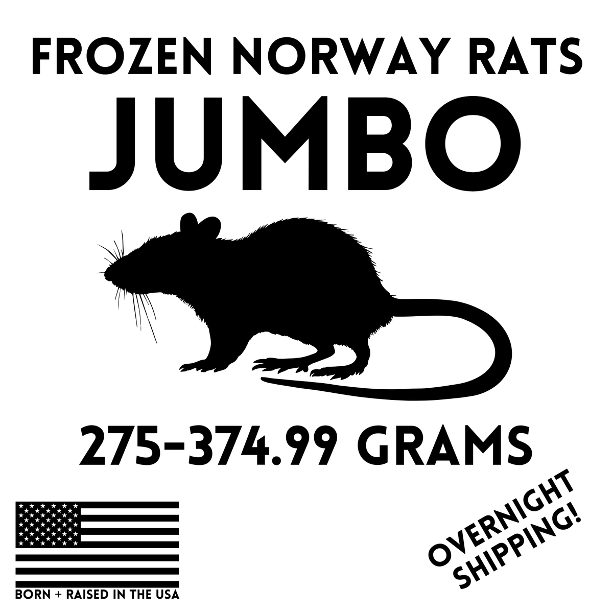 Frozen Jumbo Feeder Rats - 4 Pack — captive-bred by Ghost Constrictors