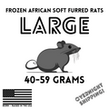 Frozen Large African Soft Furred Rats | 10 Count — captive-bred by Ghost Constrictors
