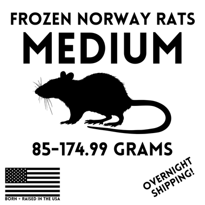 Frozen Medium Feeder Rats - 10 Pack