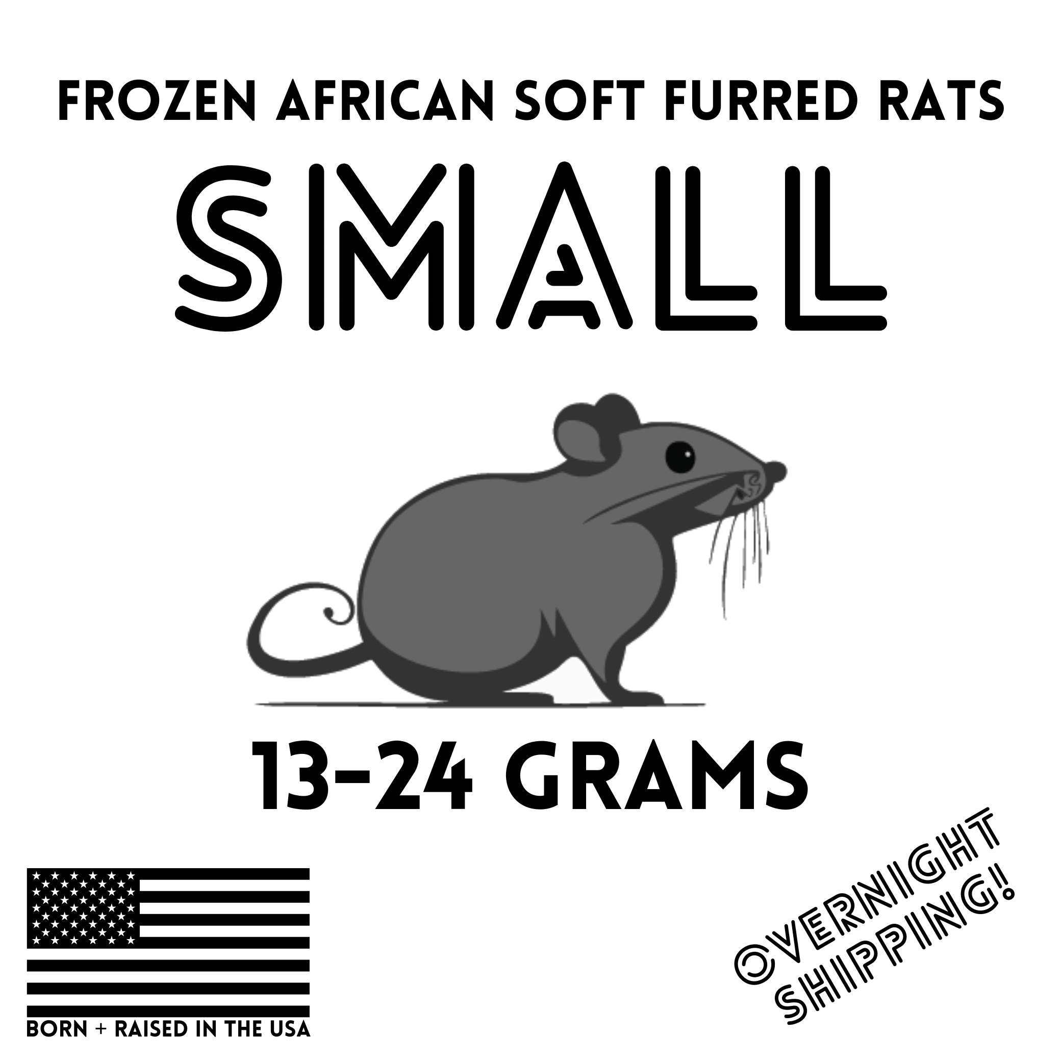 ASF Rats | Frozen Rats for Snakes | Frozen Rats | Frozen Feeder – Ghost ...
